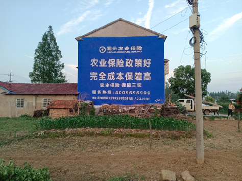 龙山墙体广告为何受追捧？