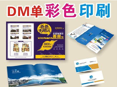 龙山单页印刷,色彩搭配简单。